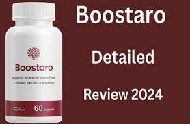 Boostaro: Empowering Personal Growth and Professional Success